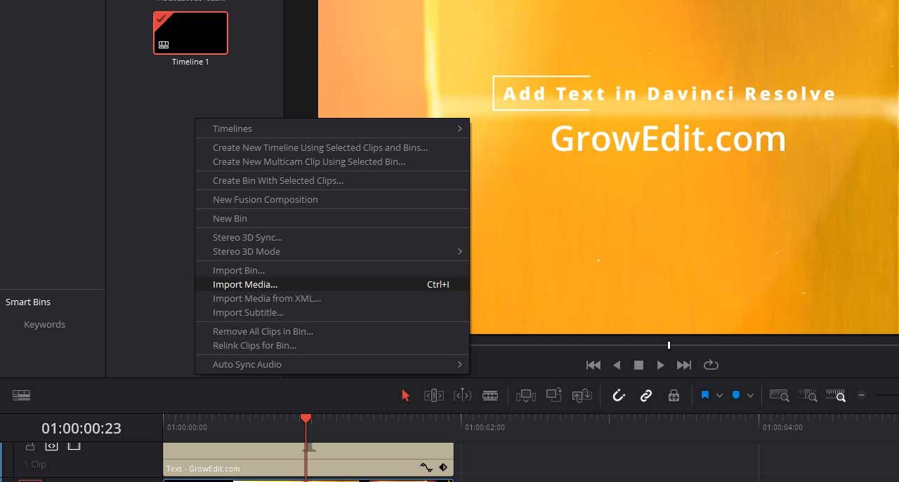 How to Add Text in DaVinci Resolve 18 Easy Way